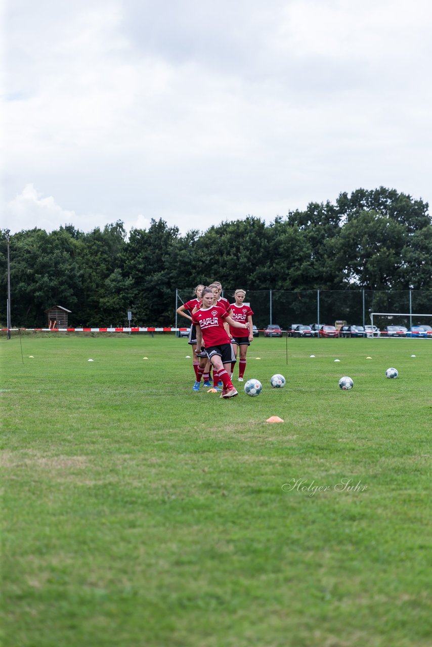 Bild 170 - Frauen SG NieBar - HSV 2 : Ergebnis: 4:3